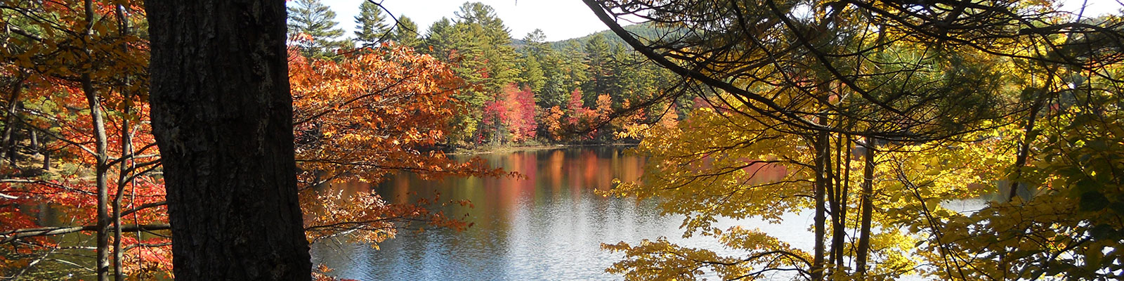 Lake Luzerne with Fall Foliage